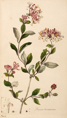 Lot 54 - Curtis (William). Flora Londinensis, 2 volumes bound in 6, 1st edition, 1777-1798