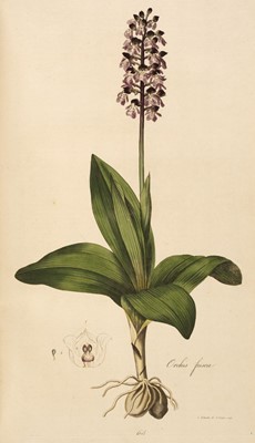 Lot 54 - Curtis (William). Flora Londinensis, 2 volumes bound in 6, 1st edition, 1777-1798
