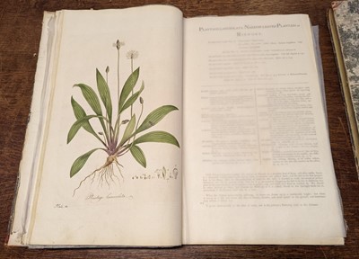 Lot 54 - Curtis (William). Flora Londinensis, 2 volumes bound in 6, 1st edition, 1777-1798