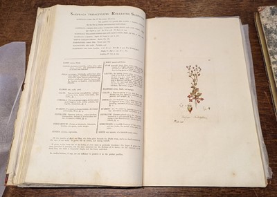 Lot 54 - Curtis (William). Flora Londinensis, 2 volumes bound in 6, 1st edition, 1777-1798