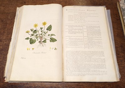 Lot 54 - Curtis (William). Flora Londinensis, 2 volumes bound in 6, 1st edition, 1777-1798
