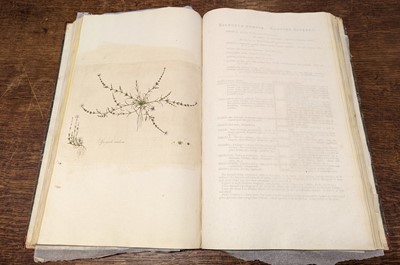Lot 54 - Curtis (William). Flora Londinensis, 2 volumes bound in 6, 1st edition, 1777-1798
