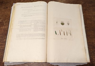 Lot 54 - Curtis (William). Flora Londinensis, 2 volumes bound in 6, 1st edition, 1777-1798