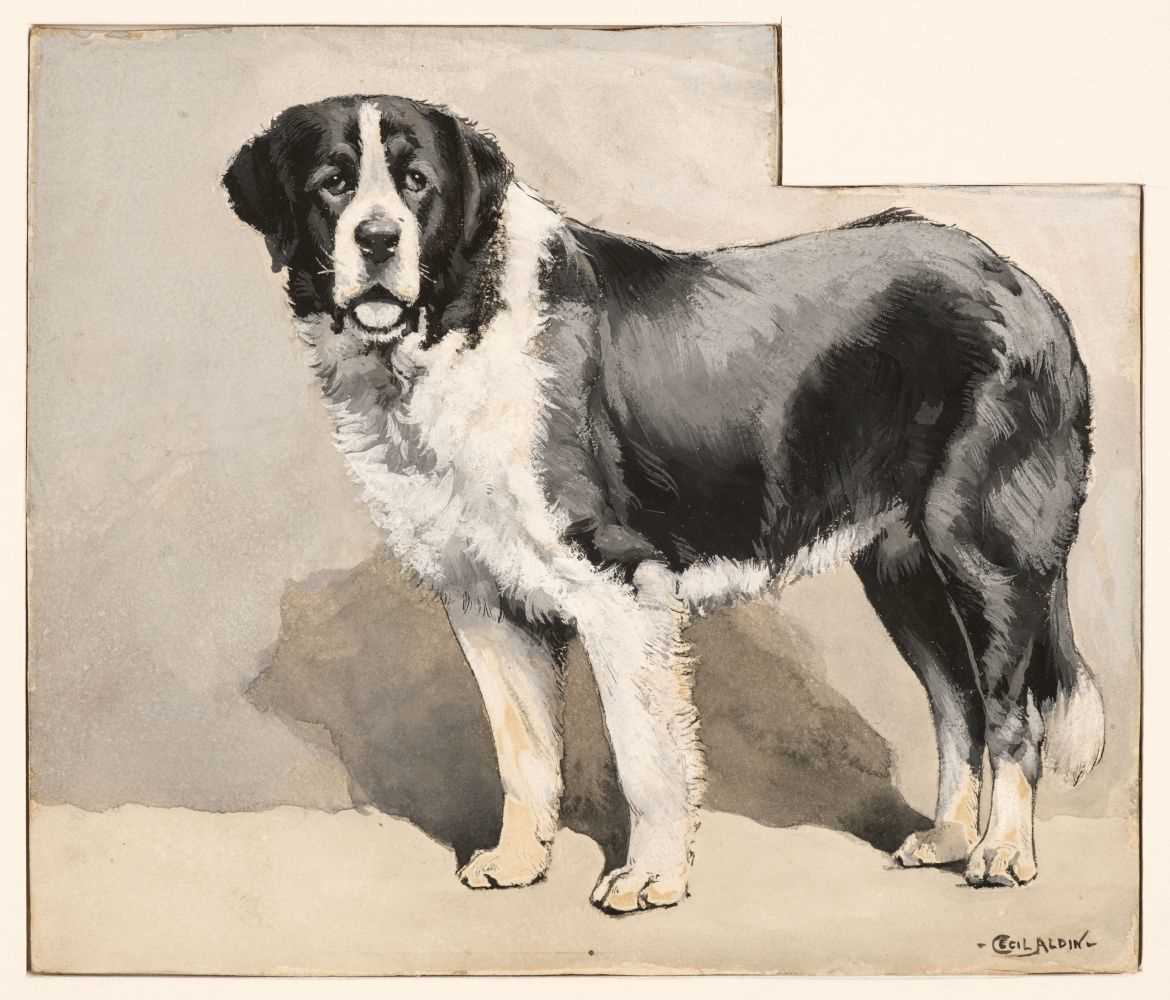 Lot 476 - Aldin (Cecil Charles Windsor, 1870-1935). St Bernard