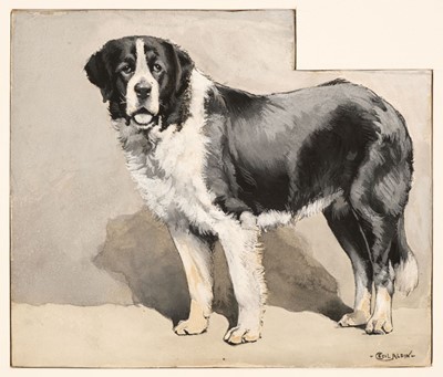 Lot 476 - Aldin (Cecil Charles Windsor, 1870-1935). St Bernard