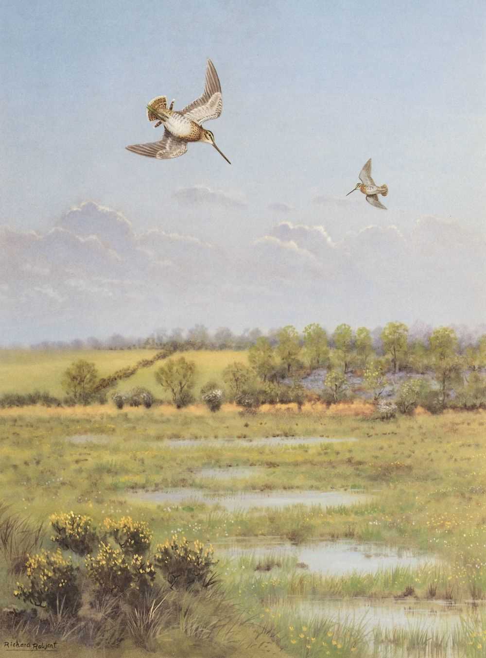Lot 78 - McKelvie (Colin Laurie & Richard Robjent, illustrator). The Snipe, 1989