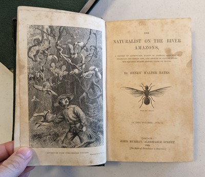 Lot 5 - Bates (Henry Walter). The Naturalist on the River Amazons..., 1863