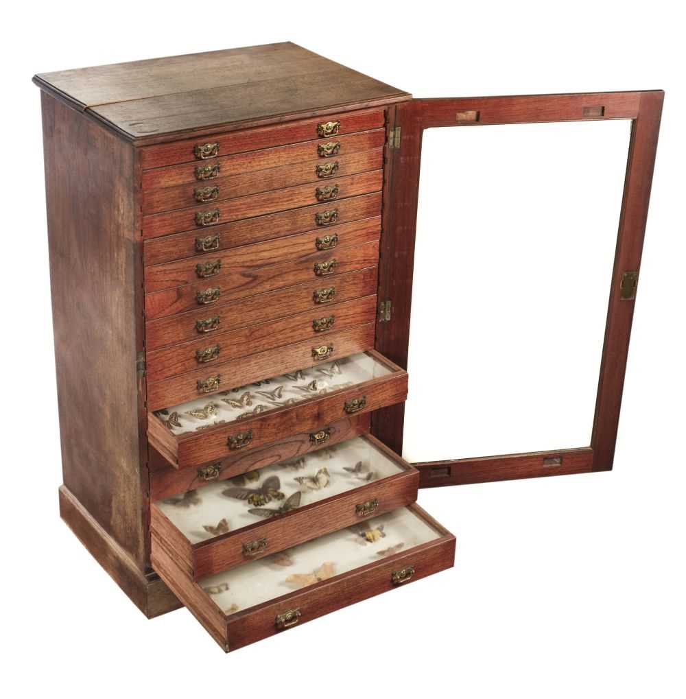 Lot 92 - Lepidoptera. A mid 20th century specimen cabinet with butterfles and moths