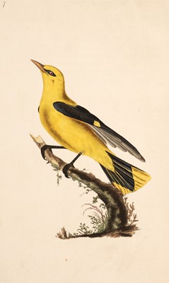 Lot 60 - Donovan (Edward). The Natural History of British Birds, 2 volumes only 1794-95
