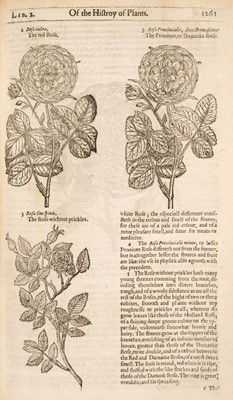 Lot 67 - Gerard (John). The Herball or Generall Historie of Plantes... very much enlarged and amended, 1636
