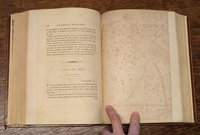 Lot 88 - White (Gilbert). The Natural History and Antiquities of Selborne, 1st edition, 1789