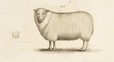 Lot 85 - Rennie (George, Broum [Brown], Robert and Shirreff, John). General View of the Agriculture, 1794...