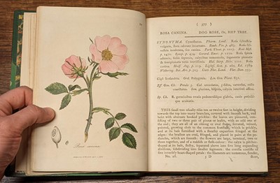 Lot 89 - Woodville (William). Medical Botany, containing Systematic and General Descriptions