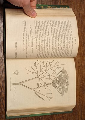 Lot 89 - Woodville (William). Medical Botany, containing Systematic and General Descriptions