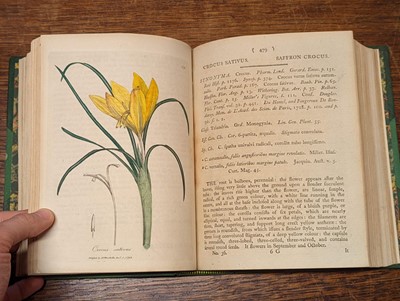 Lot 89 - Woodville (William). Medical Botany, containing Systematic and General Descriptions