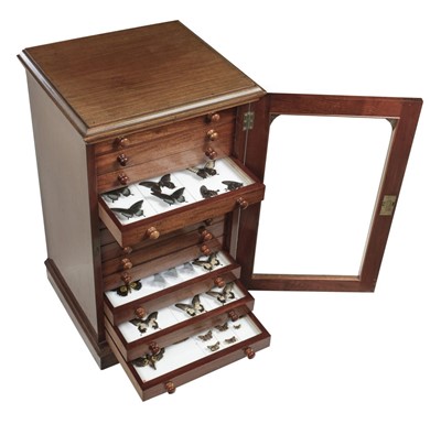 Lot 90 - Entomology. A mahogany specimen cabinet with butterflies, moths and beetles