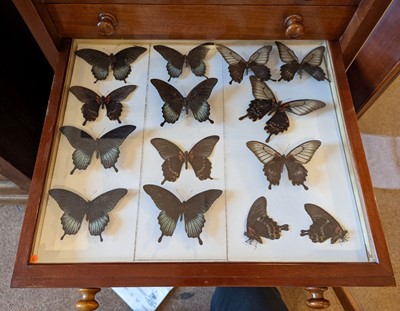 Lot 90 - Entomology. A mahogany specimen cabinet with butterflies, moths and beetles