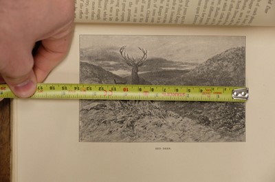 Lot 61 - Ireland (Samuel). Picturesque Views, on the River Medway, 1793