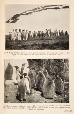 Lot 27 - Matthews (L. Harrison). South Georgia, 1st edition, Bristol: John Wright & Sons, 1931