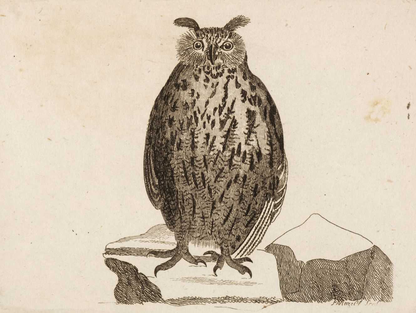 Lot 84 - Walcott (John). Synopsis of British Birds, 1st edition, 2 volumes, London: W. Justins, 1789