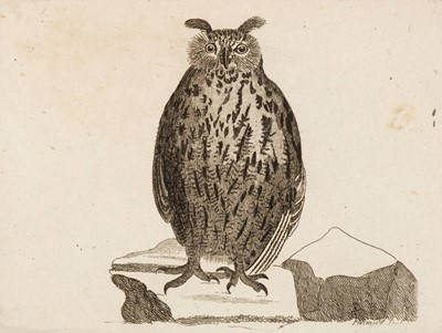 Lot 84 - Walcott (John). Synopsis of British Birds, 1st edition, 2 volumes, London: W. Justins, 1789