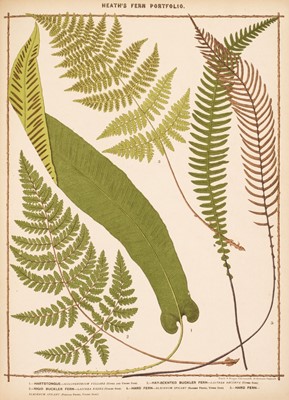 Lot 73 - Heath (Francis George). The Fern Portfolio, 1885