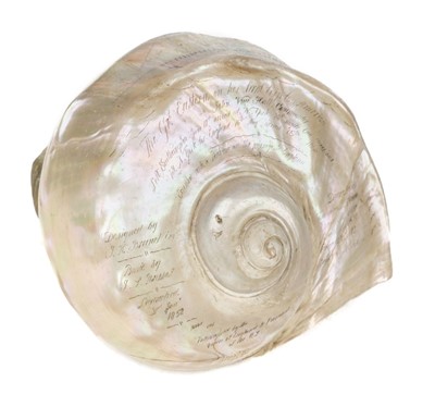Lot 257 - SS Great Eastern. A fine 19th century carved shell circa 1860