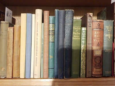 Lot 72 - Jenyns (F.G.) A Book about Bees, 1886