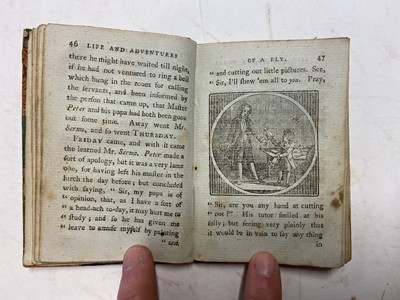 Lot 433 - Jones (Stephen). The Life and Adventures of a Fly, E. Newbery, 1st edition, circa 1787-89