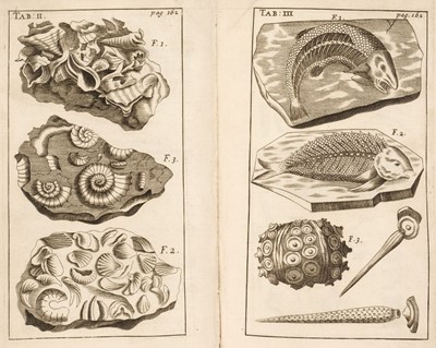 Lot 84 - Ray (John). Miscellaneous Discourses concerning the Dissolution and Changes of the World...