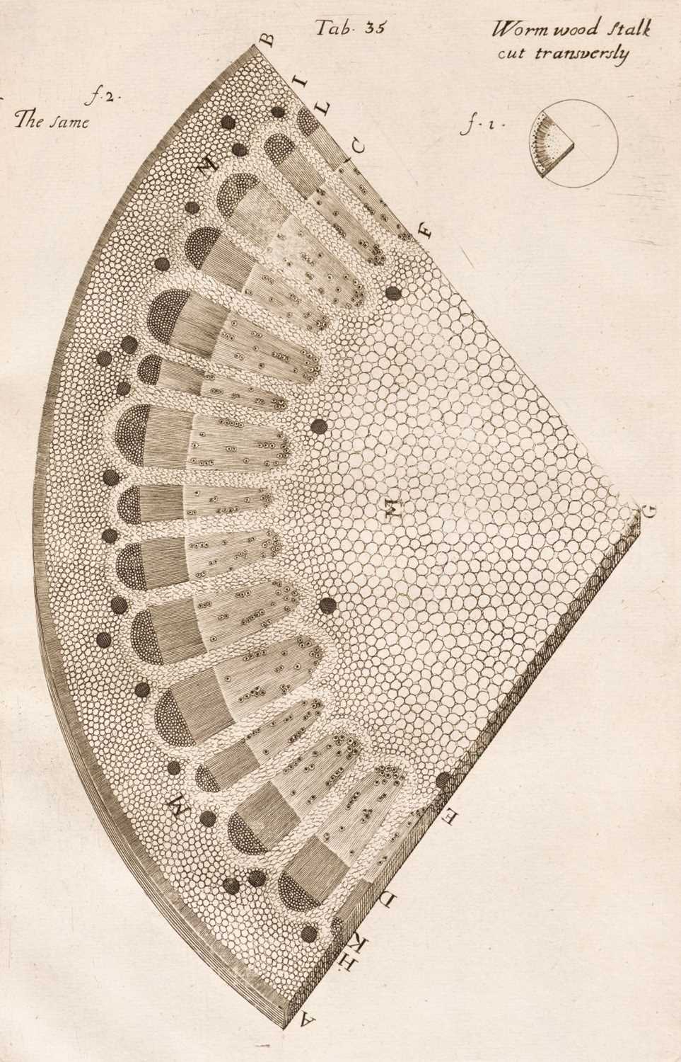 Lot 59 - Grew (Nehemiah). The Anatomy of Plants, 1st edition, London: W Rawlins, 1682