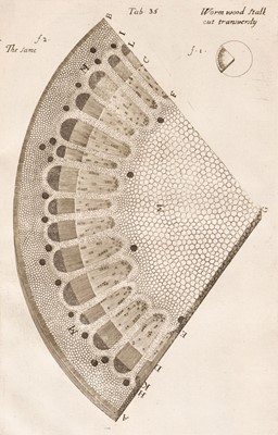 Lot 59 - Grew (Nehemiah). The Anatomy of Plants, 1st edition, London: W Rawlins, 1682