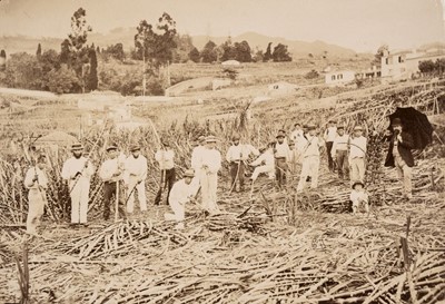Lot 110 - Italy, Madeira and Great Britain. An album containing 82 mounted photographs, c. 1890