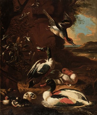 Lot 258 - Cradock (Marmaduke, circa 1660-1717, attributed to). Shelducks in a Landscape, oil on canvas
