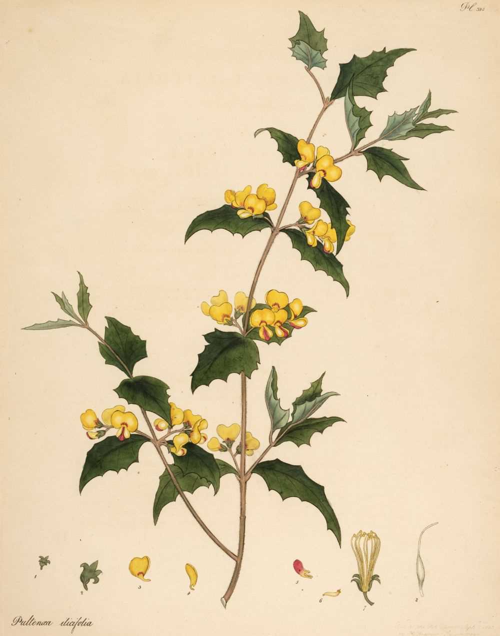 Lot 162 - Andrews (Henry C.). A collection of approximately 60 engravings [1797 - 1814]