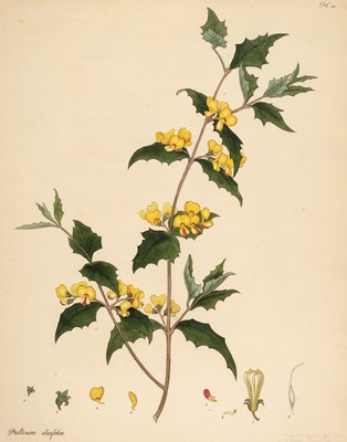 Lot 162 - Andrews (Henry C.). A collection of approximately 60 engravings [1797 - 1814]