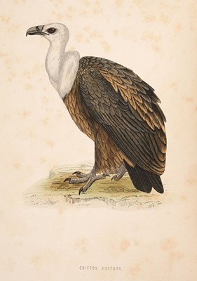 Lot 67 - Morris (Francis Orpen). A History of British Birds, 2nd edition, 4 volumes (of 6), 1870