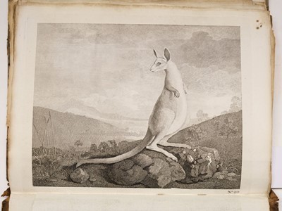 Lot 2 - Cook (James). An Account of the Voyages, plates only, 2nd edition, 1773