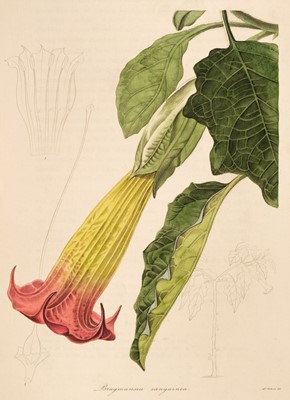 Lot 62 - Maund (Benjamin). The botanist, 5 vols., [1837-46]