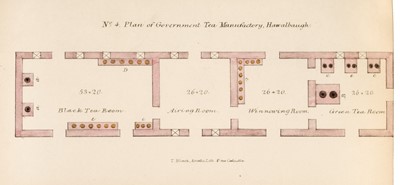 Lot 7 - Indian Tea Reports. Report on the Government Tea Plantations in Kumaon and Gurwahl