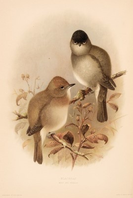 Lot 60 - Howard (Henry Eliot). The British Warblers, 2 volumes, 1907-1914