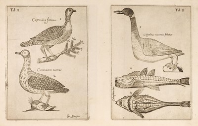 Lot 83 - Sibbald (Robert). Scotia Illustrata, 3 parts in 1, 1683-84