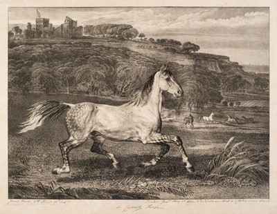 Lot 334 - Ward (James, 1769-1859). A Cossack Horse, 1823-24, lithograph, signed