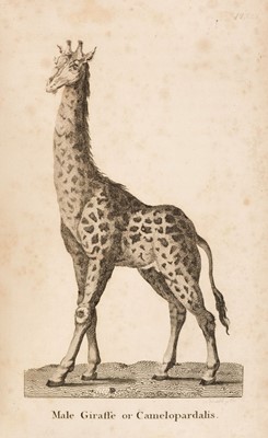 Lot 20 - Le Vaillant (Francois). Travels into the Interior Parts of Africa, 2 volumes, 1796