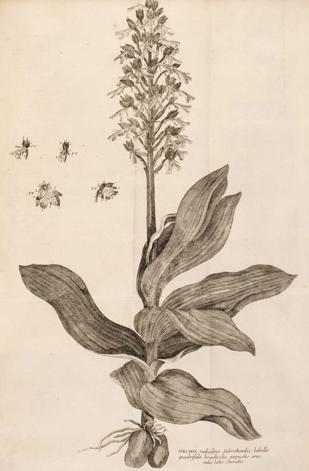 Lot 34 - Haller (Albrecht von). Historia Stirpium Indigenarum Helvetiae, 1768