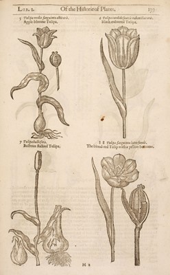 Lot 71 - Gerard (John). [The Herball or Generall Historie of Plantes..., 1636]