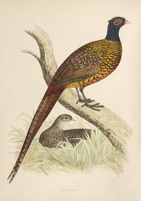 Lot 31 - Morris (Beverley R.). British Game Birds and Wildfowl, Groombridge and Sons, 1st edition, 1855