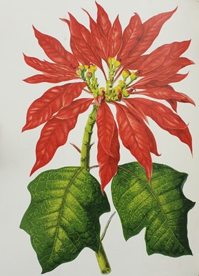 Lot 152 - Gardening & Horticulture. A large collection of late 19th & early 20th-century gardening & horticulture reference