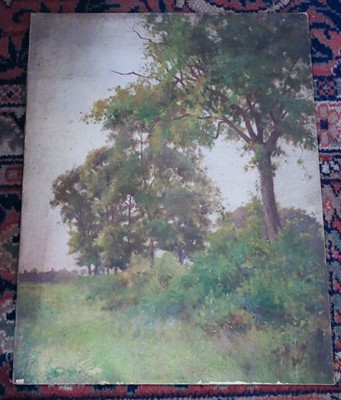 Lot 325 - Oil Paintings. A collection of approximately 150 paintings, circa 1900