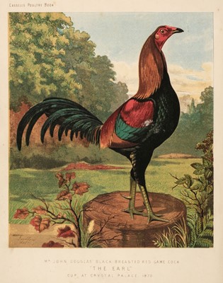 Lot 140 - Wright (Lewis). The Illustrated Book of Poultry, London: Cassell Petter and Galpin, circa 1875